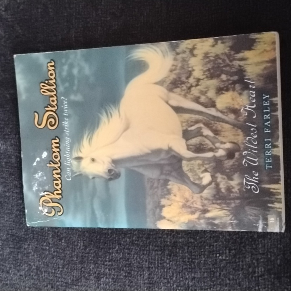 Phantom Stallion #16: The Wildest Heart by Terri Farley